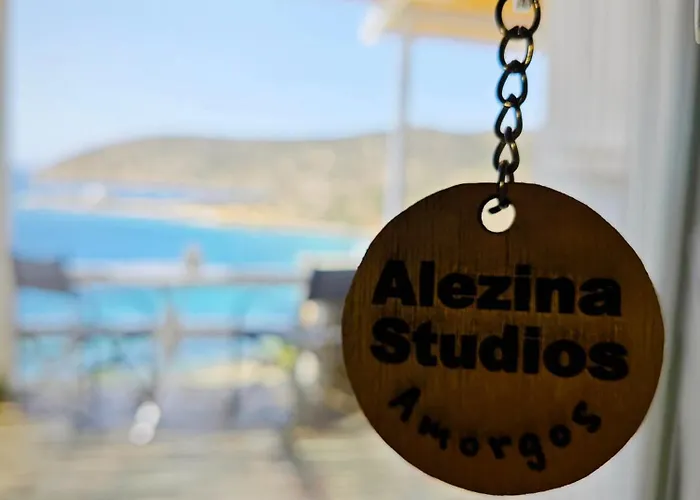 Alezina アパート *